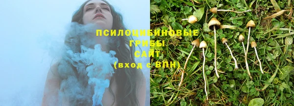 шишки Кулебаки