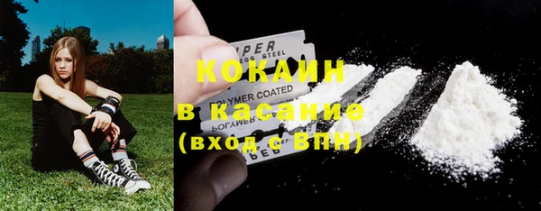 мяу мяу мука Кукмор